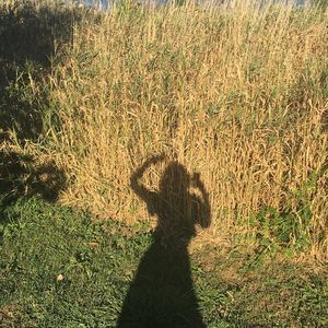 Meet your Posher, Kathleen